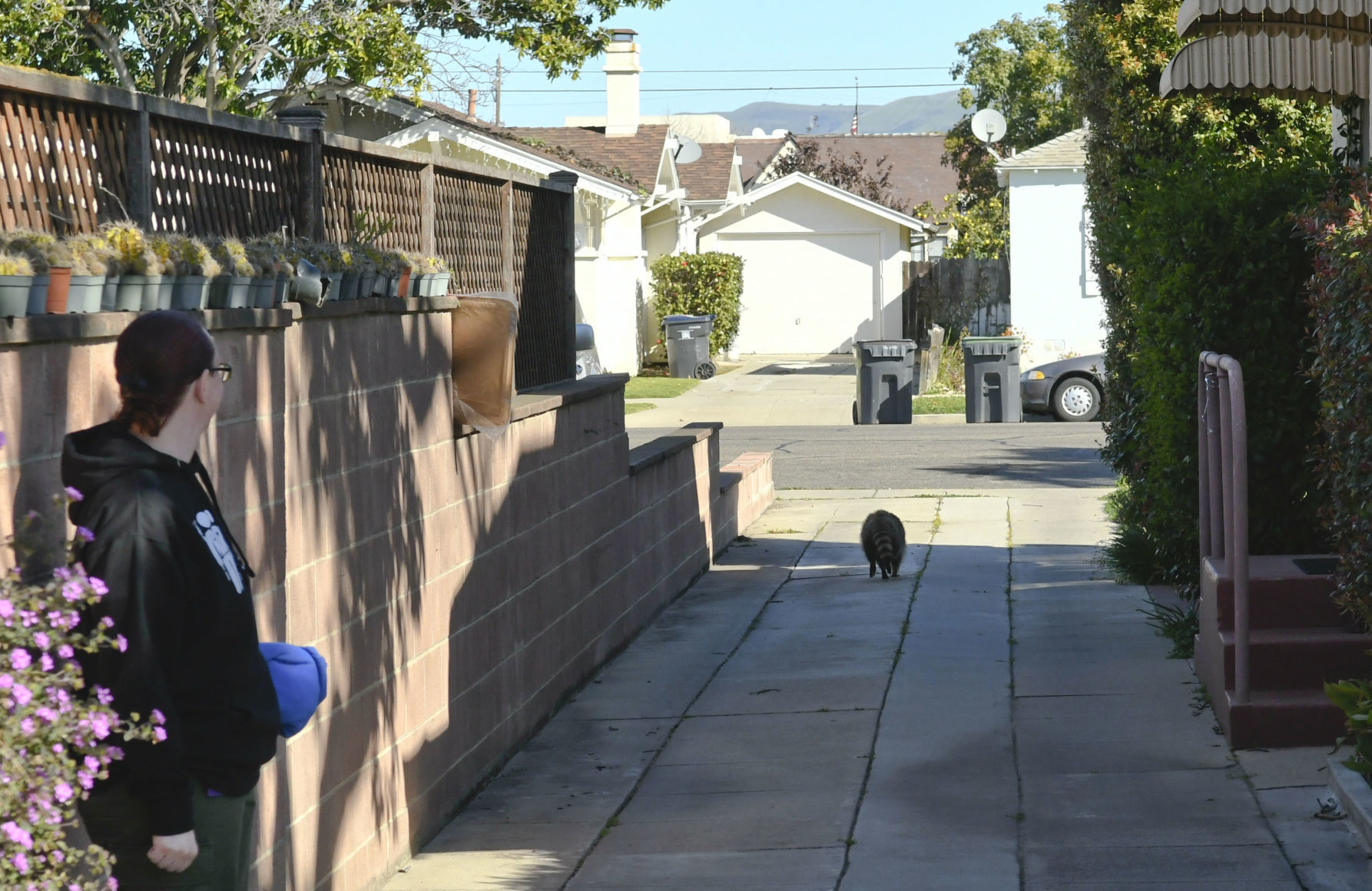 031419 Animal Services 05.jpg